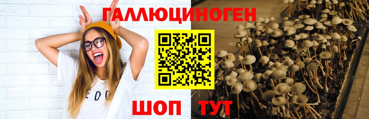 Галлюциногенные грибы Magic Shrooms  Вход с VPN  Сызрань 